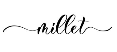 Millet - etiketler ve ambalaj, ürünler, gıda deposu, meyve ve sebze tasarımı için pürüzsüz çizgilere sahip vektör kaligrafi.