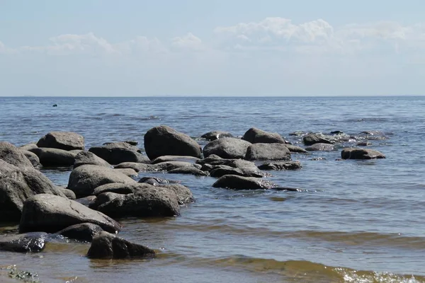 Камені Пляжі Вологі Камені Камені Воді — стокове фото