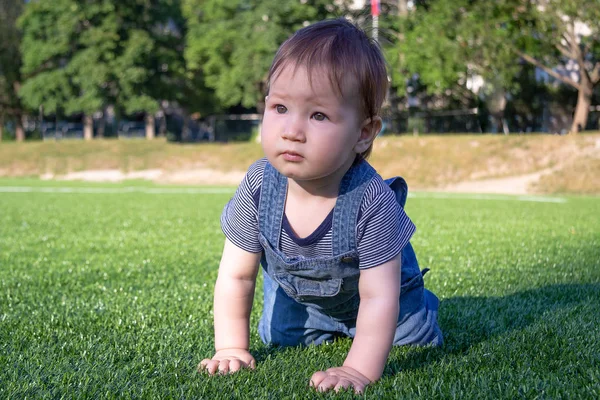 Ребенок ползает по траве в летний день — стоковое фото