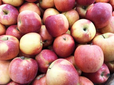 Birçok Olgun kırmızı elma bir sandıkta piyasada yalan