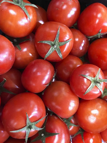 Kök ile orta boy kırmızı domates bir sürü kutusunda vardır