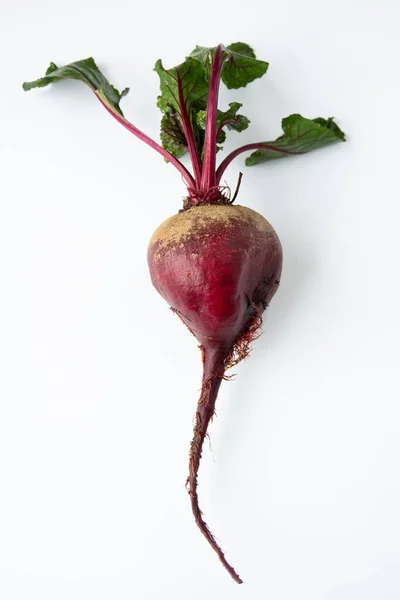 Beyaz arka planda üst kapaklı taze çiğ pancarlar