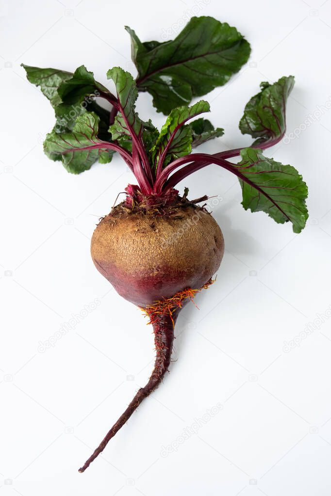 Fresh raw beets with tops close-up on a white background