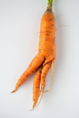 Beyaz arka planda tepesi olan çirkin havuçlar.