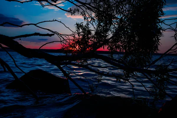 Árvore Lago Pôr Sol — Fotografia de Stock