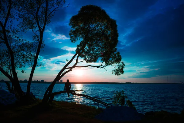 Silhueta Uma Jovem Mulher Sentada Árvore Pôr Sol Fantasia Mágica — Fotografia de Stock