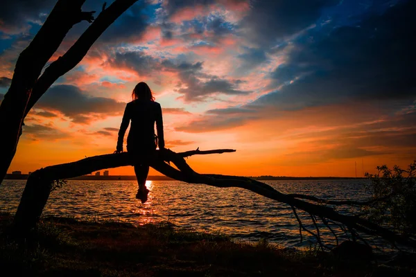 Jeune Femme Assise Sur Arbre Regardant Magnifique Coucher Soleil Coloré — Photo