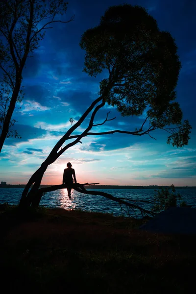 Силуэт Молодой Женщины Сидящей Дереве Закате Синяя Фантазия — стоковое фото