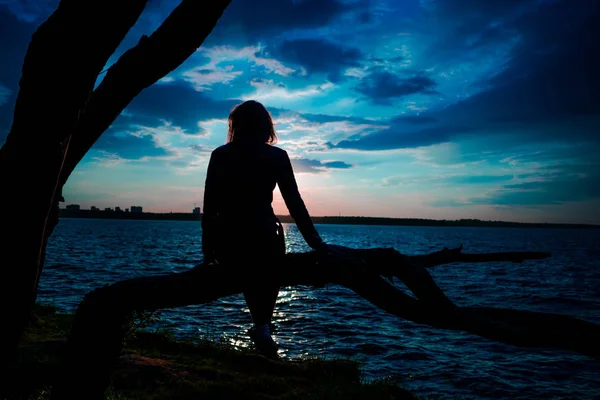 Силуэт Молодой Женщины Сидящей Дереве Закате Синяя Фантазия — стоковое фото
