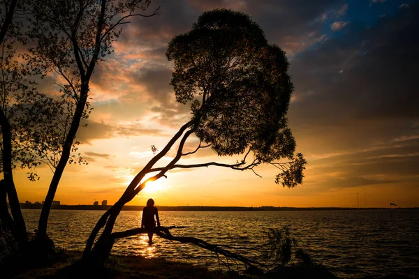 Silhouette Une Jeune Femme Assise Sur Arbre Coucher Soleil Fantaisie — Photo