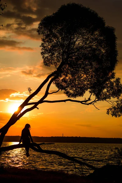 Силует Молодих Жінок Сидять Дереві Під Час Заходу Сонця Помаранчева — стокове фото