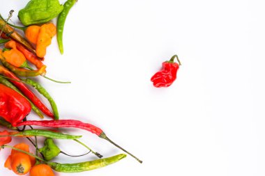 Biber beyaz arka plan üzerinde görünümü top