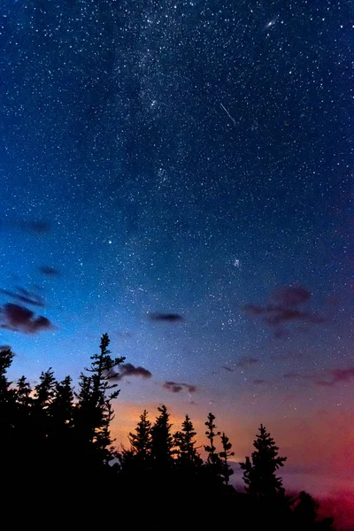 Orman ağaçlarının üzerinde Samanyolu ve Perseid meteor ve Andromeda ile yıldızlı gece gökyüzü — Stok fotoğraf