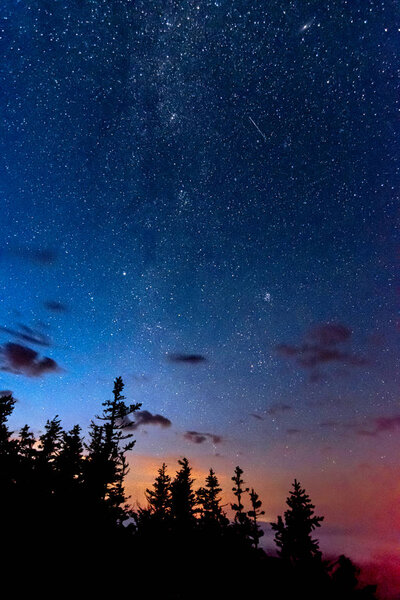 Starry night sky with Milky Way and Perseid meteor and Andromeda above the forest trees
