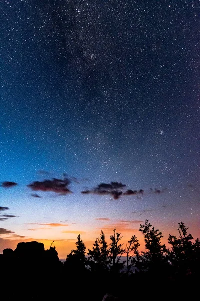 Orman ağaçlarının üzerinde Samanyolu ile güzel yıldızlı gece gökyüzü görünümü — Stok fotoğraf