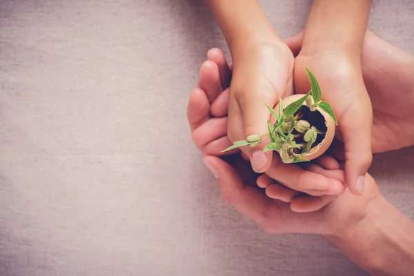 Les Mains Adultes Enfants Tenant Des Plants Dans Des Coquilles — Photo