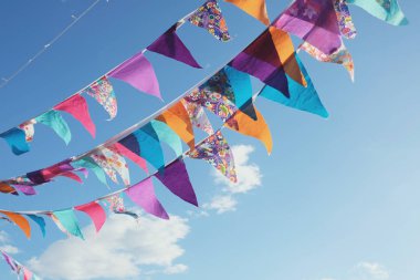 Yaz Festival renkli kiraz kuşu ve mavi gökyüzü