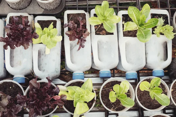 Kullanılan Plastik Şişe Bardak Yeniden Geri Dönüşüm Eko Kavramı Içinde — Stok fotoğraf