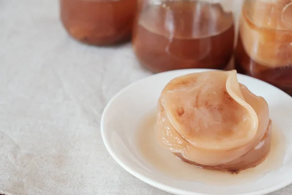 Грибы Kombucha Scoby Ферментированный Чай Пробиотическая Пища — стоковое фото