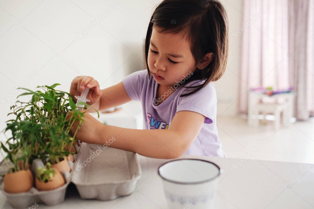 Mixed Asian girl watering plants in eggshells,, eco gardening,  montessori, education , reuse concept
