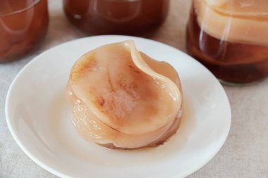 Kombucha mushroom SCOBY, Fermented tea, Probiotic food. clipart