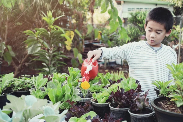 Jeune Asiatique Garçon Arrosage Plantes Dans Réutiliser Vieux Plastique Conteneurs — Photo