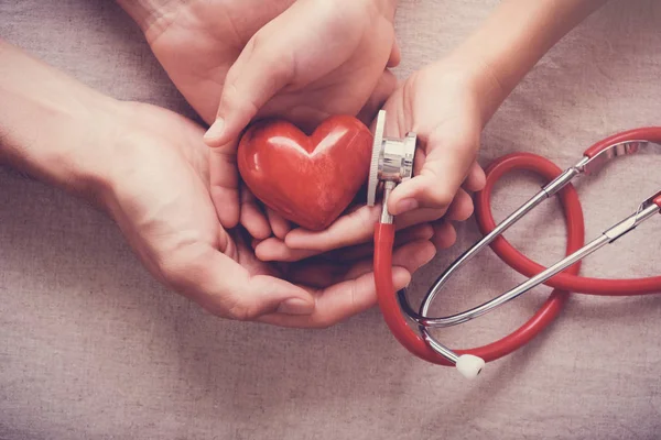 Niño Adulto Sosteniendo Corazón Rojo Con Estetoscopio Salud Del Corazón — Foto de Stock