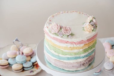 Doğum günü pastası ve macaroons ve ev yapımı pastel renkli katmanlı