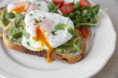 Avokado, domates ve ayçiçeği filizi Tarih Maya tost ile haşlanmış yumurta