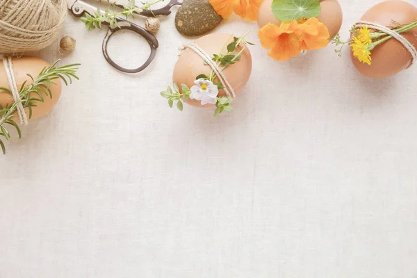 Hipster Eco Artesanato Ovos Páscoa Com Flores Ervas Fundo Espaço — Fotografia de Stock