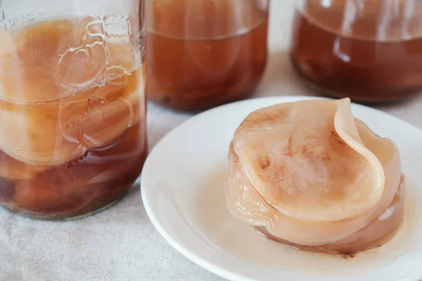 Kombucha mantar Scoby, fermente çay, probiyotik gıda.