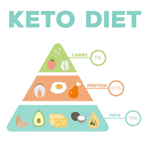 Ketogenic 규정식 지방입니다 일러스트 — 스톡 벡터