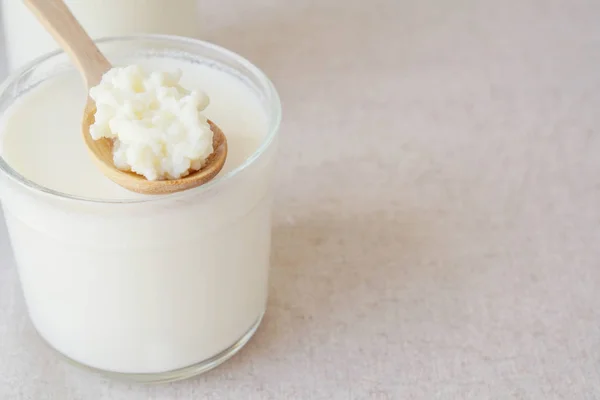 Probiotic Kefir 입자에에서 Kefir 우유에 나무로 숟가락에 — 스톡 사진