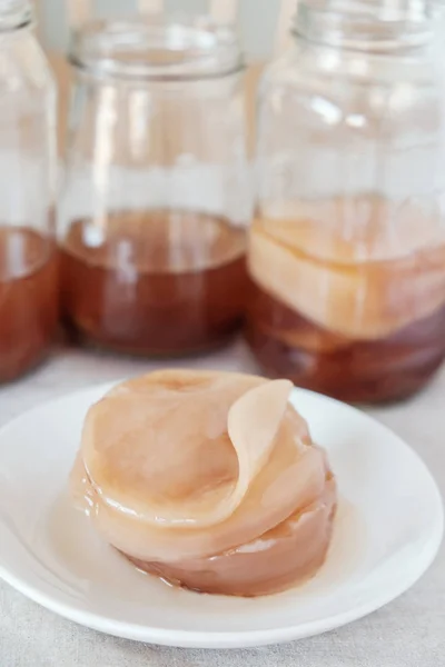 Kombucha Hongo Scoby Fermentado Alimentos Probióticos —  Fotos de Stock