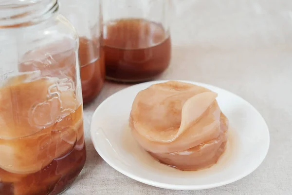 Kombucha Jamur Scoby Teh Fermentasi Makanan Probiotik — Stok Foto