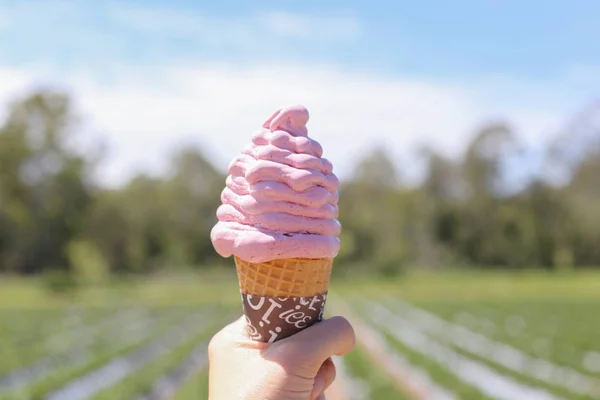 Hand Holding Fresh Made Strawberry Ice Cream Cone — Stock Photo, Image