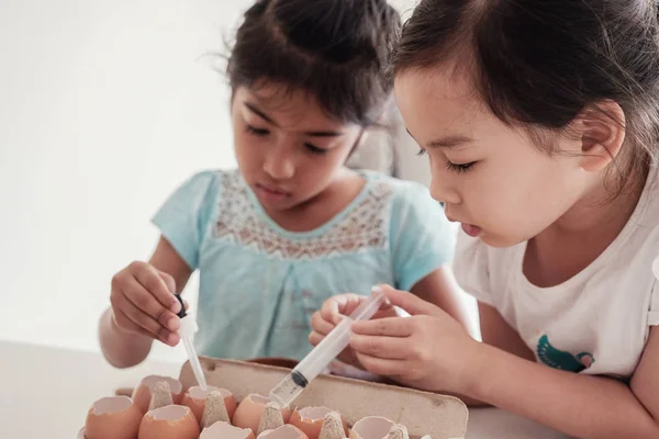 Children Planting Seedlings Reuse Eggshells — Stock Photo, Image