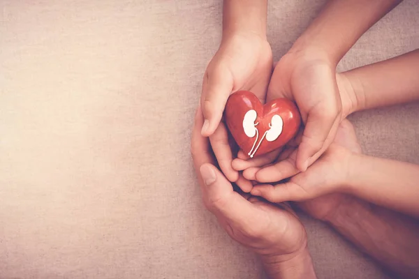 Händerna Holiding Röda Hjärtat Med Njure Världsdagen — Stockfoto