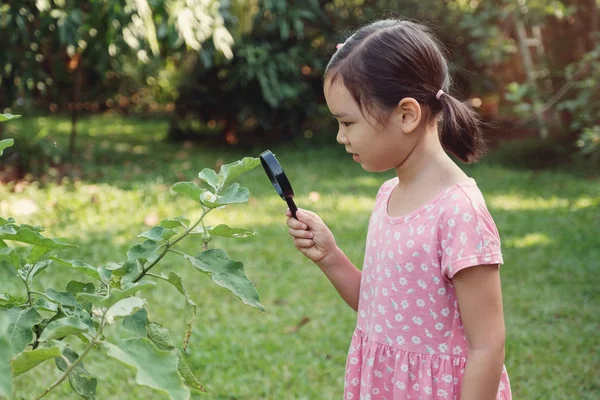 Ung liten asiatisk tjej tittar på löv genom en förstoringsglas g — Stockfoto