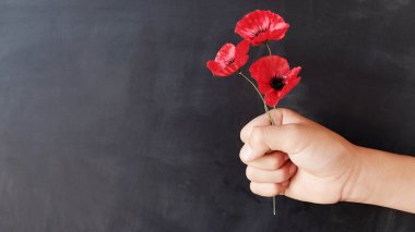 Hand holding red poppy flowers, remembrance day,  lest we forget clipart