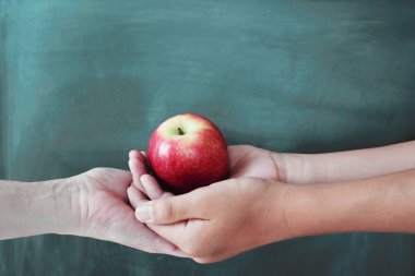 Student and teacher hands holding red apple with blackboard back