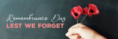Hand holding red poppy flowers, remembrance day,  Veterans day,  clipart