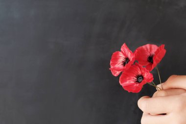 El ele tutuşan kırmızı gelincik çiçekleri, anma günü, gaziler günü, 