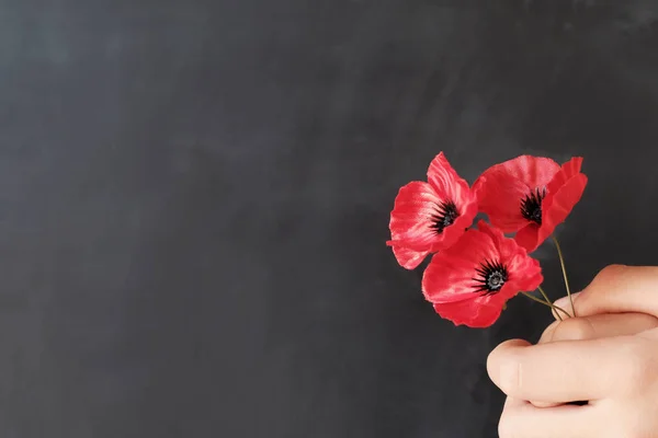 Hand holding red poppy flowers, remembrance day,  Veterans day, — Stock Photo, Image