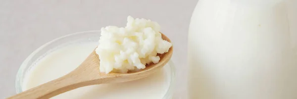 Grani di kefir di latte probiotico biologico, funghi tibetani su legno — Foto Stock