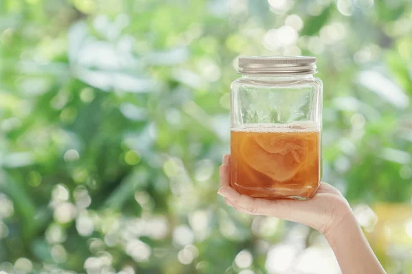 Kombucha Thé Fermenté Aliments Probiotiques Pour Santé Intestinale — Photo