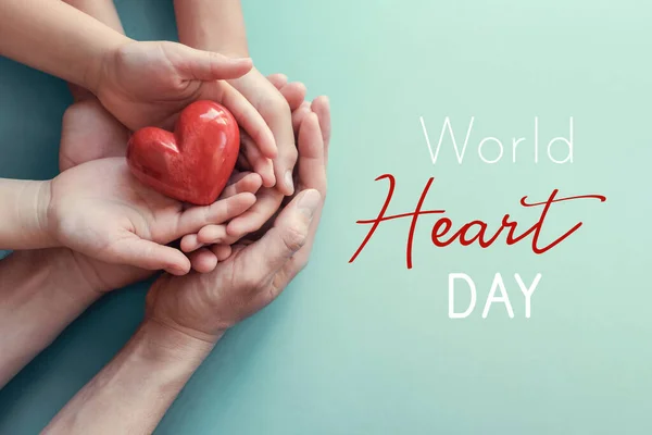 Adulto Criança Mãos Segurando Coração Vermelho Dia Coração Mundo — Fotografia de Stock