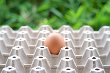 yumurta ahşap masa arkaplanı ve metin için boşluk