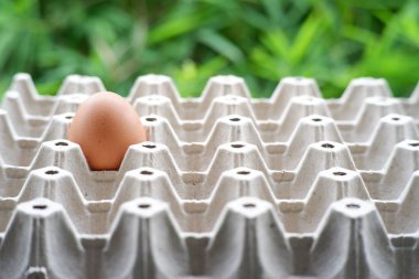 yumurta ahşap masa arkaplanı ve metin için boşluk