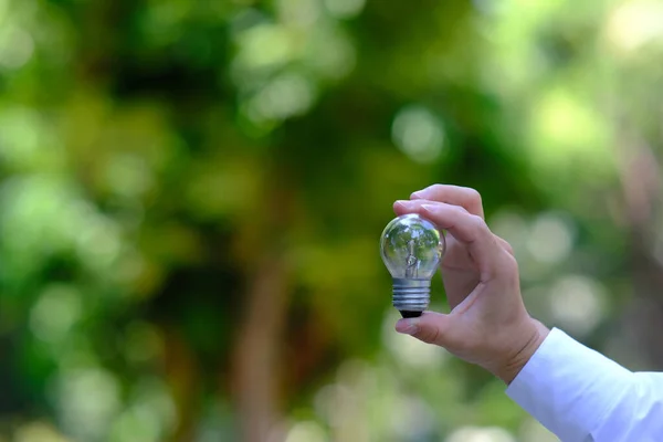 businessman holding light bulb on green background